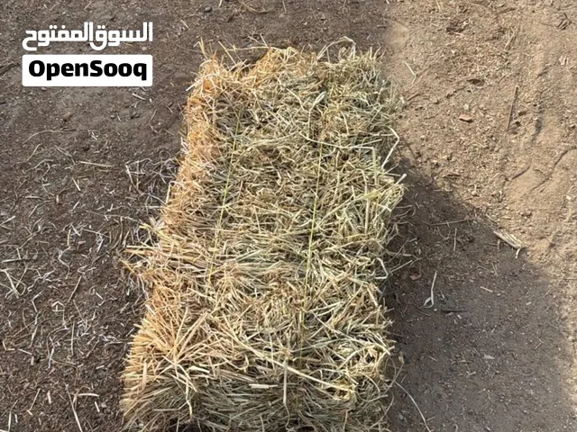 البيع حشيش