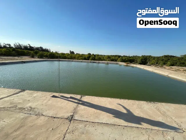 أرض للبيع مساحه 30 فدان