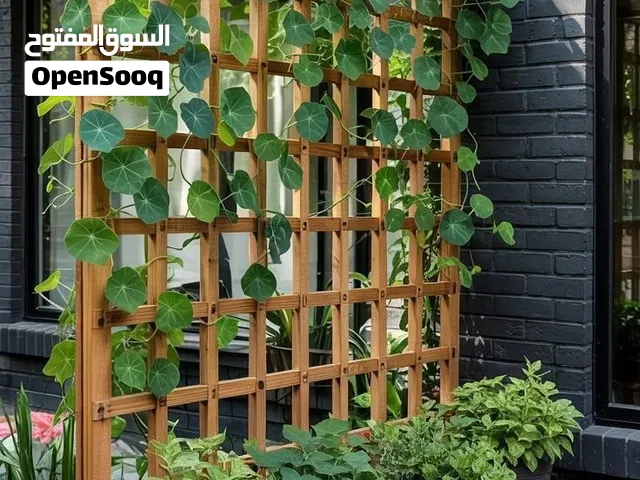 فني ديكورات خشب معالج