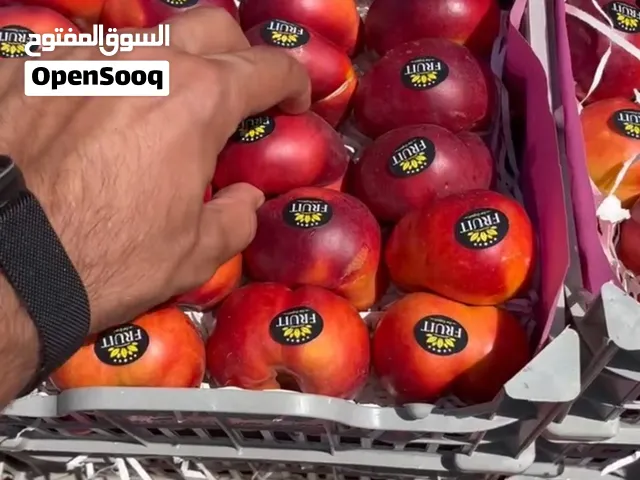 نجهز الفواکه الطازجة من الفلاحين ونوصلها للمستهلكين بالجملة