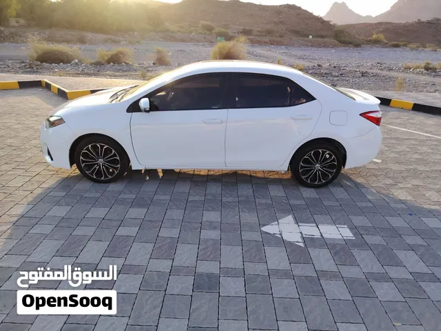 Used Toyota Corolla in Muscat