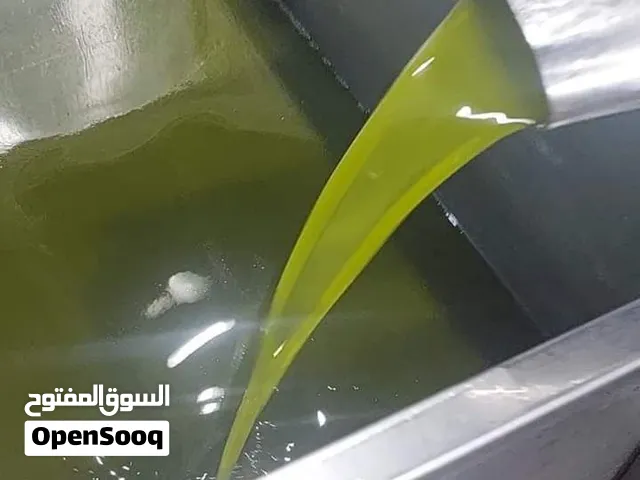 زيت زيتون بعل رومي زيت العام الماضي 25 26