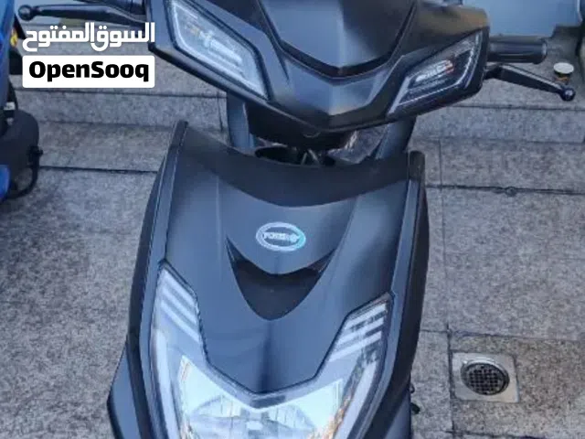 Electric motorcycle (Power G)