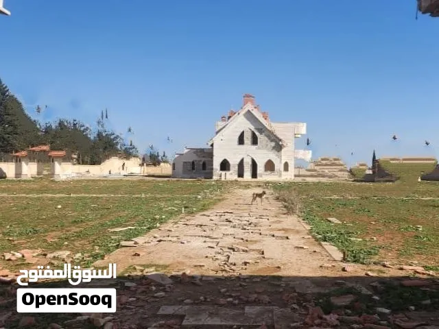 أرض زاوية استراتيجية 10 دونمات مسورة بالكامل مع فيلا و3 آبار في دروشا