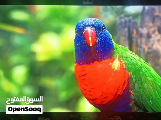 تلفزيون من شركه هايسنس 4k للبيع التلفزيون نظيف جدا و مع الكرتون