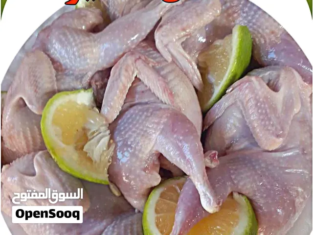 فري جامبو نباتي منظف طازج للبيع