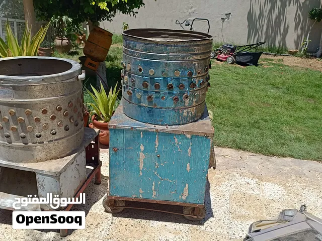 2رياشة دجاج ( طيور ) واحده مصريه والثانيه محليه شغالات