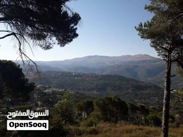 Land for sale in Ain El Safsaf metn full of pine trees with breath taking view