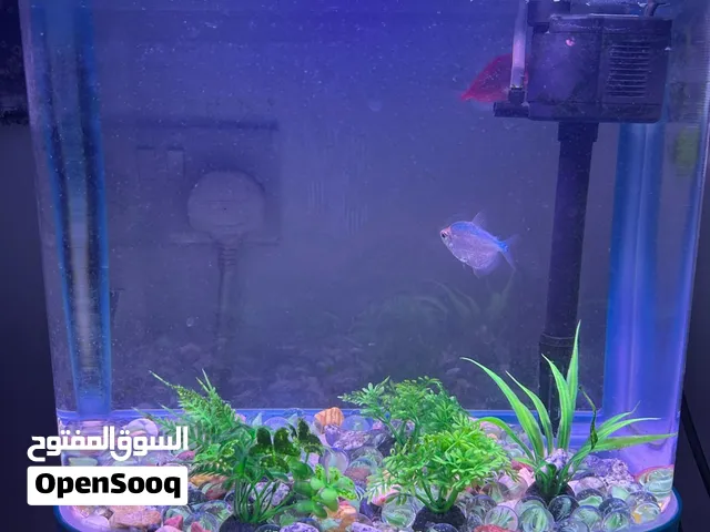 Aquarium for sale
