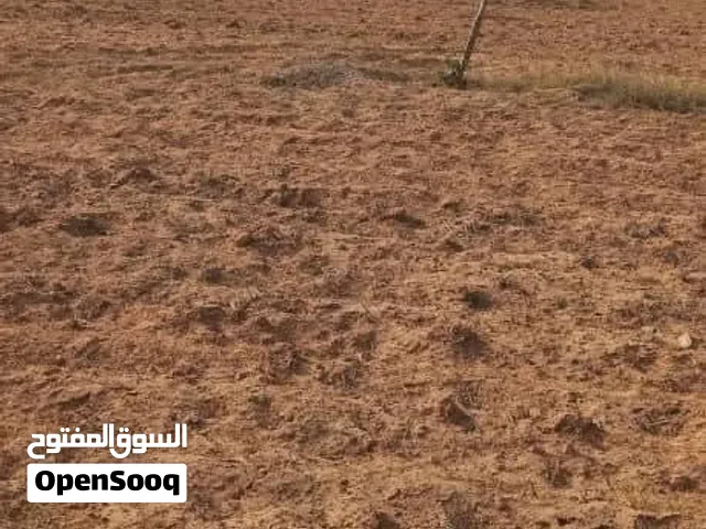 بسم الله توكلنا على الله مش كل الأراضي فرص... لكن في أراضي تفرق في مستقبلك الدافنية