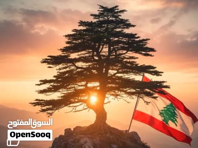 شيف لبناني يرغب في فتح مقهى ماكولات سريعة على الطريقة اللبنانية مطلوب ممول أو شريك المشروع مدروس