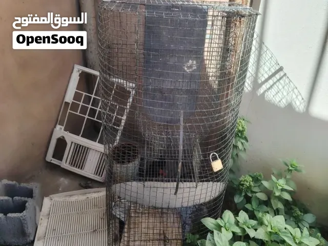 قفص طيور سلكي كبير (حجم ممتاز) للبيع