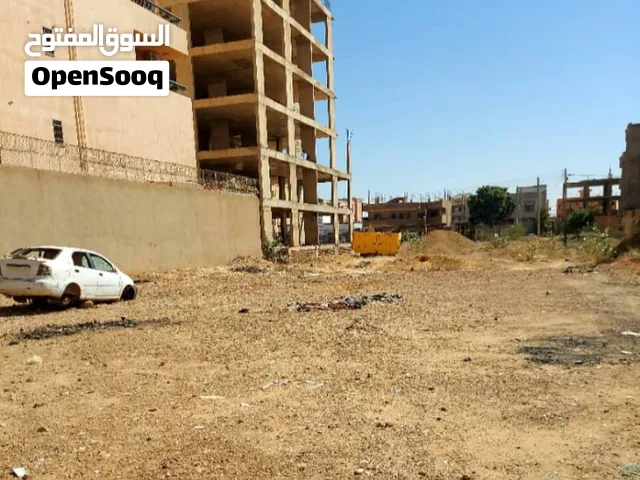 النخيل مربع 18