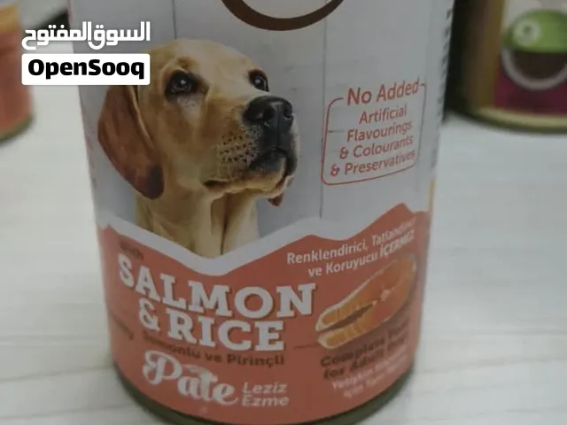 طعام رطب للكلاب