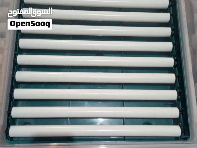 حضانه دجاج