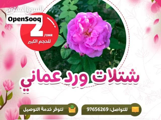 شتلات وأشجار الزينة من مشتل الأرياف أسعار منافسة الأفضل في السوق  المعارف نرسری سے پودے اور آرائشی