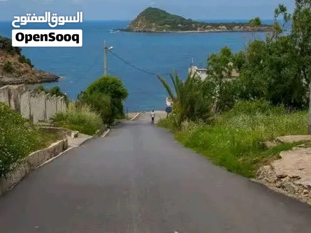 ارض سياحية