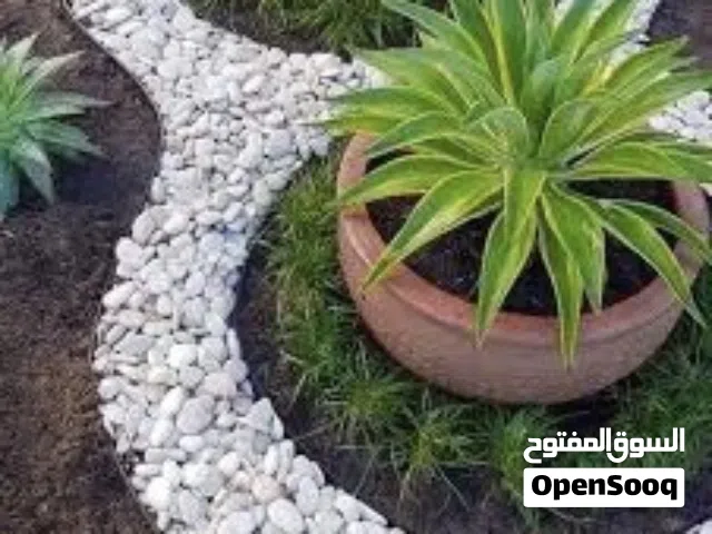 تنسيق وصيانة الحدائق جميع انواع اللاندسكيب نحن نختار معك افضل التصاميم واجود الانواع على قد ميرانينك