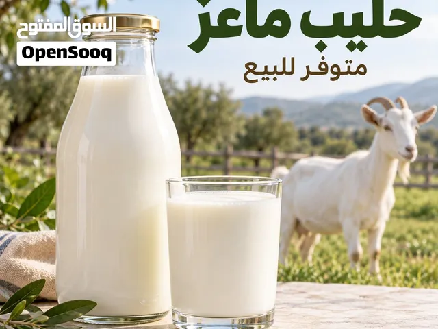 لبن ماعز للبيع