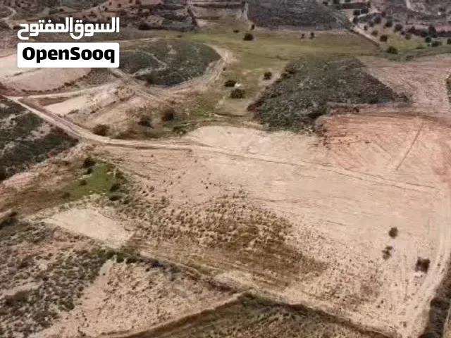 عرض مميز قطعة ارض مساحة 15000م الخمس النقازة تبعد على البحر 1500 متر