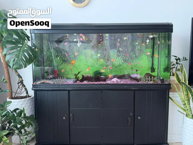 حوض سمك بطول 150