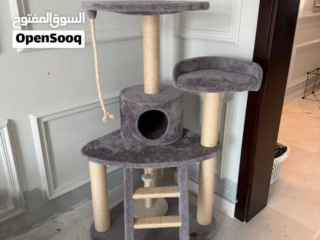 Brand New Cat Tree for Sale