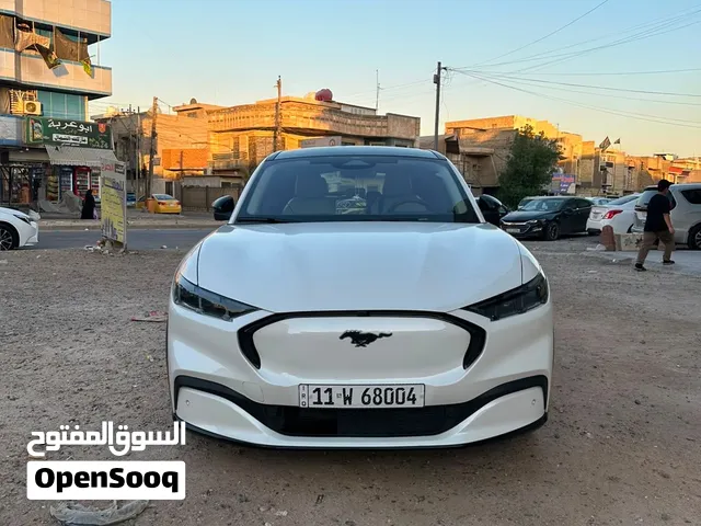 موستنك ماك اي موديل 24