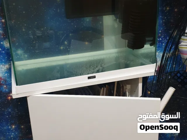 تانك سمك زجاجي وبعض المستلزمات. fish glass fish with some accessories
