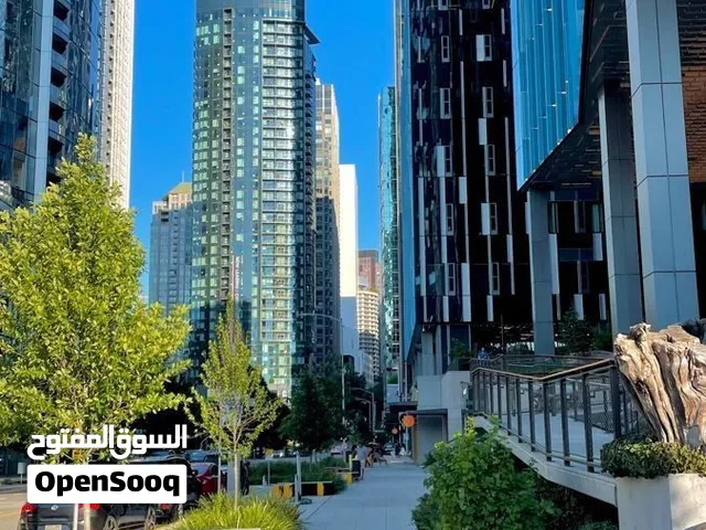 بيت للبيع بالجنينة على شارع المصلحة