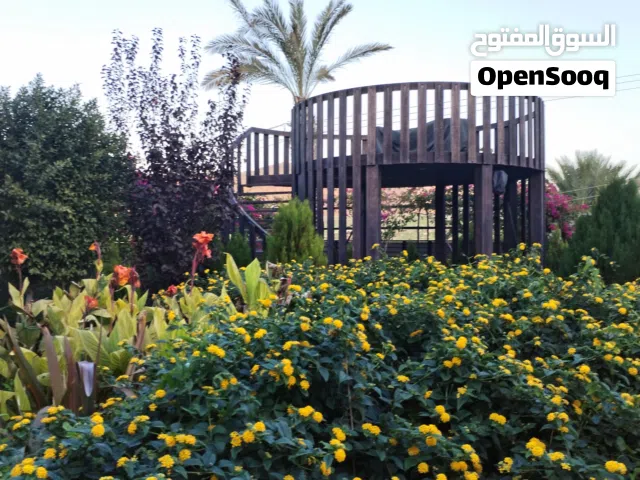 More than 6 bedrooms Farms for Sale in Jerash Tal Al-Rumman