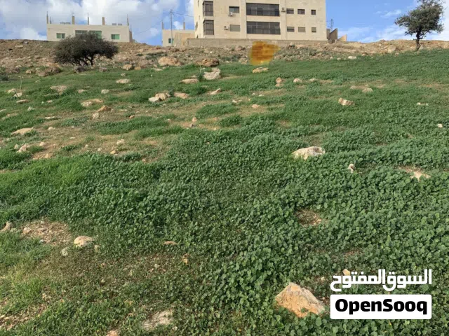 أرض للبيع في الدمينة سكن ب خاص منطقة فلل