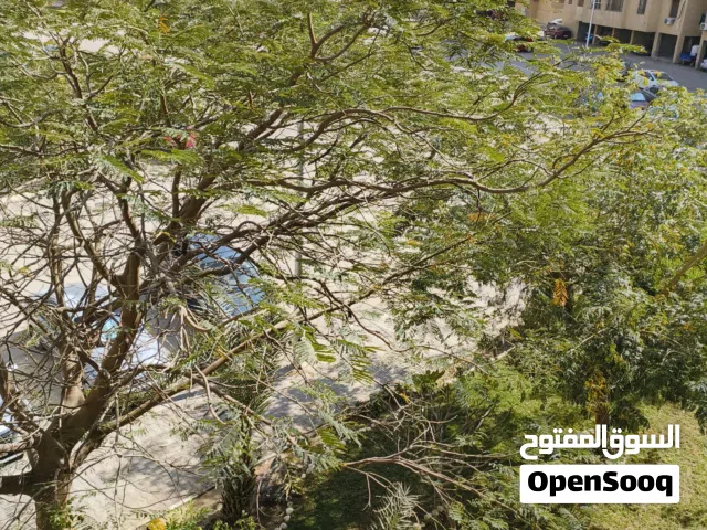85 m2 2 Bedrooms Apartments for Rent in Cairo Fifth Settlement