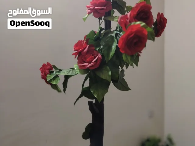 شجره زينه الطول متر  ونص السعر عشره