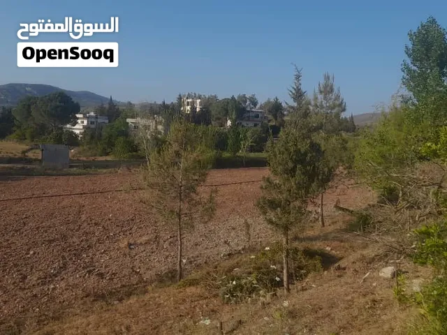 فرصة استثمارية اللاذقيه: أرض تجارية/سكنيه مميزة بمساحة 4800 م2 - واجهة 74م على أوتستراد وادي قنديل