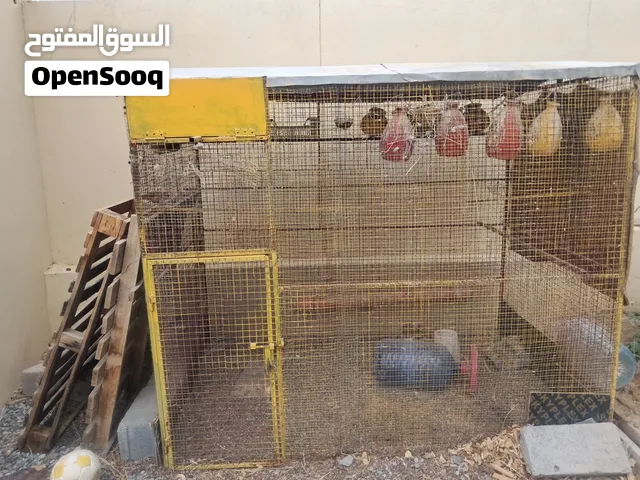 للبيع قفص طيور