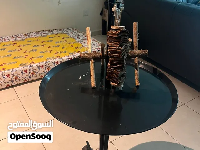 Bird stand with toys
