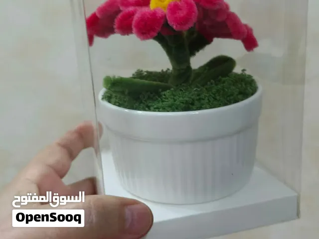 ورود مخملية