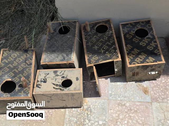 بيوت صغيرة للطيور