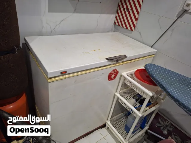 Near Mint Condition JUMBO DEEP FREEZER For Sale.