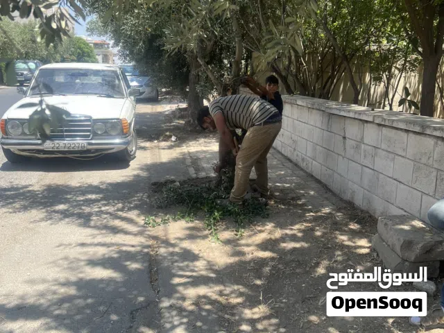 خدمة قص الشجر وتقليم الأغصان والتعشيب ونقل الطمطم والتنظيف الحدايق