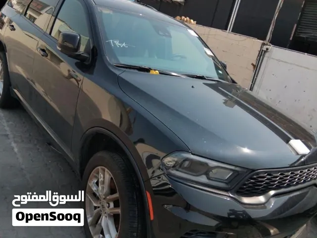 دورنكو موديل 2024