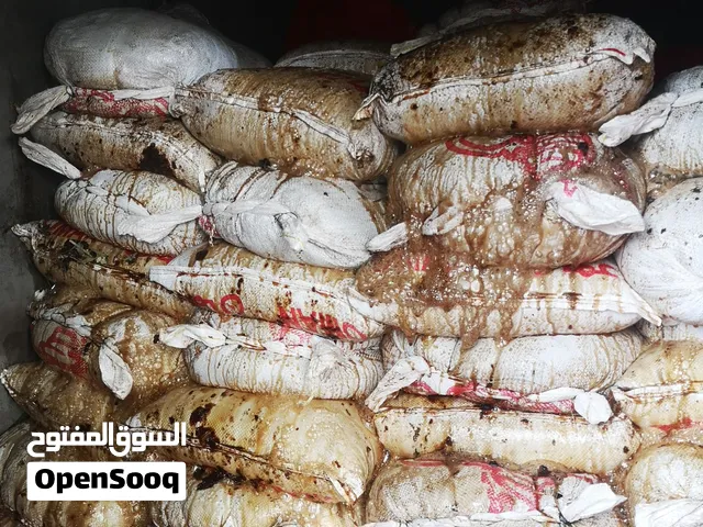 يوجد لدينا سح مدلوك للبيع ام السلي وكذلك يوجد دبس تمر انتاج السنه 2026 للتواصل واتساب فقط