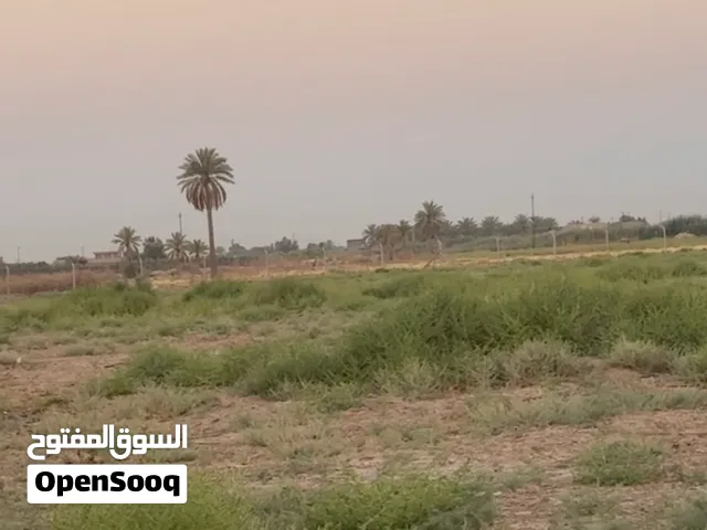 قطعه ارض للبيع سند مستقل المساحة 8 دونم و800متر  بالاصل 10 دونم و800متر بس اني ابيعلك على السند