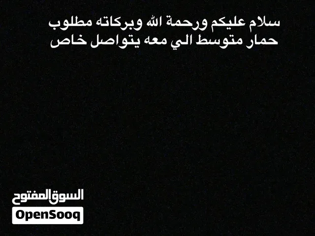 مطلوب حمار ب 10