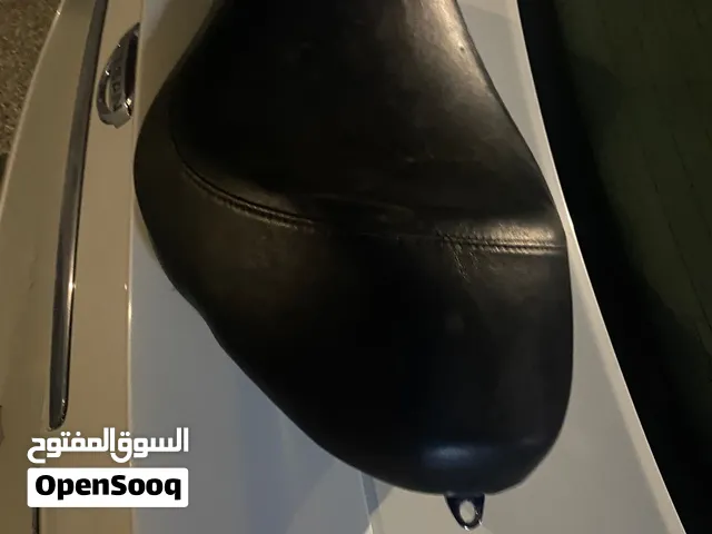 كرسي هارلي سبورتسر ايرون