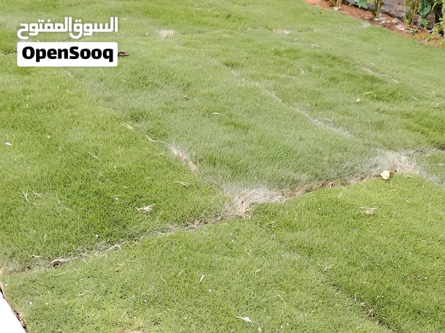 قص ثيل وتوريد وتركيب ثيل طبيعي
