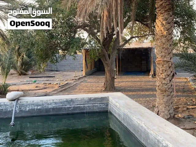 للبيع مزرعه من المالك مباشره