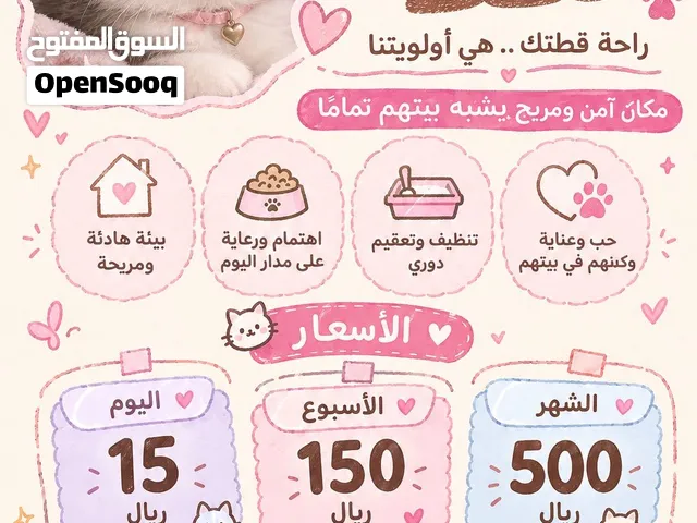 فندقة و عناية بالقطط