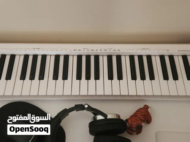 Roland A49