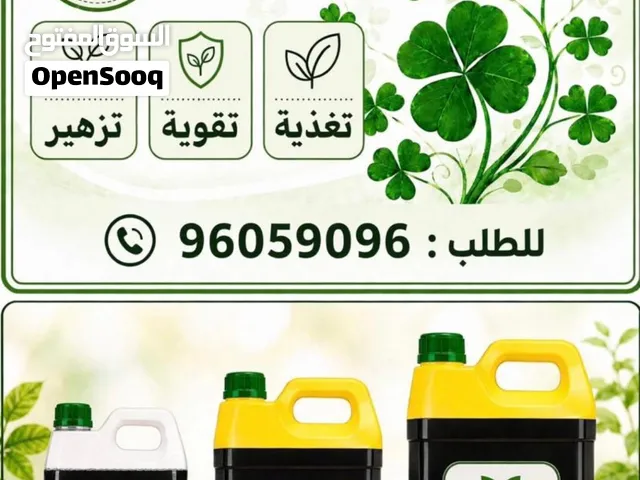 شتلات تين وسماد سمكي تسميد